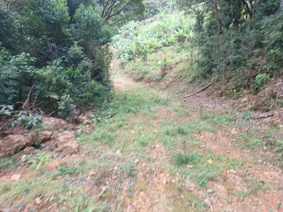 Sítio para venda tem 2 hectares  em Santa Izabel - Águas Mornas - SC - Foto 5