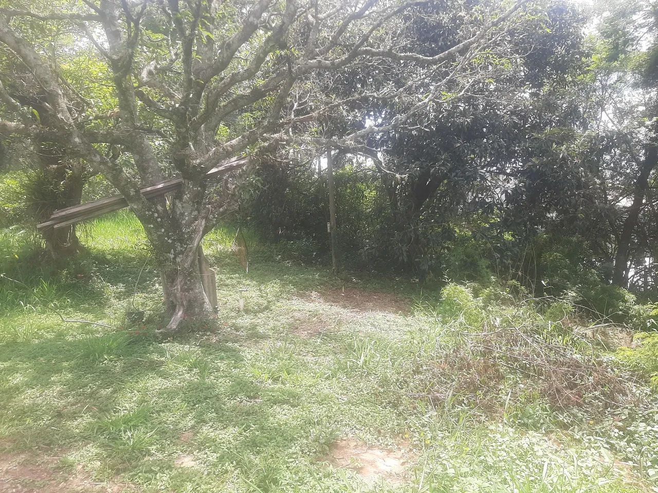 Vendo terreno - Foto 4