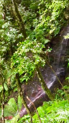 Chácara com cachoeira em Urubici - Foto 9