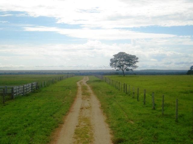 Fazenda 21.100 ha Diamantino MT