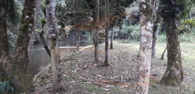 Chácara para venda, barra da cruz - Foto 4