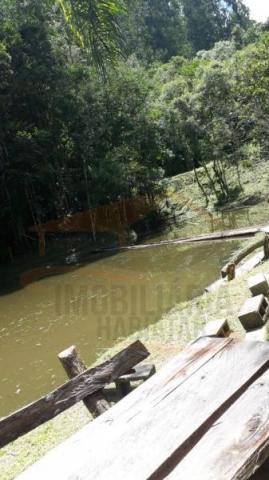 Chácara para venda em campina grande do sul, capivari - Foto 4