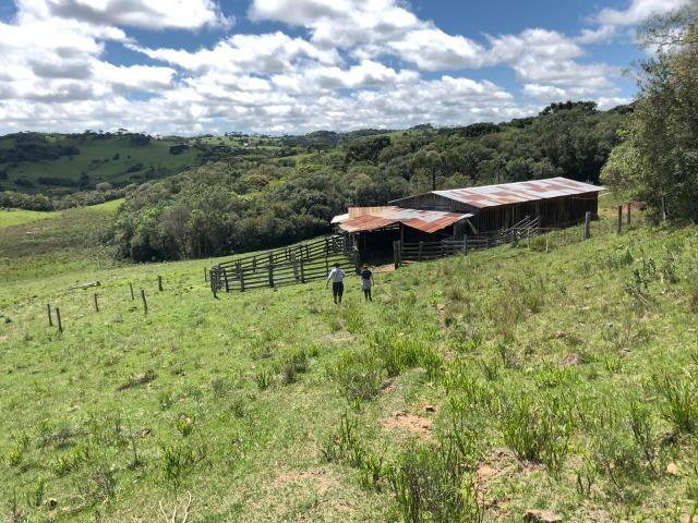 Fazenda 86 hectares Cazuza Ferreira - Foto 2