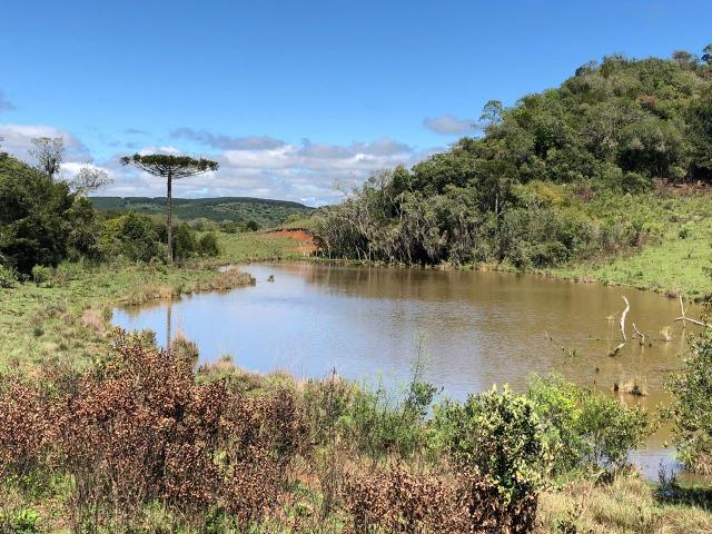 Fazenda 86 hectares Cazuza Ferreira