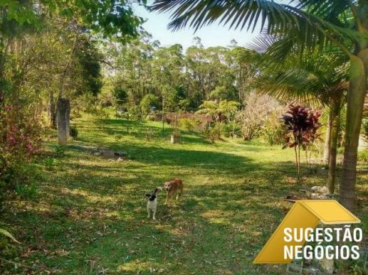 Chácara em tapirai para lazer ou moradia | 2991 - Foto 11