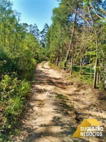 Chácara em tapirai para lazer ou moradia | 2991 - Foto 13
