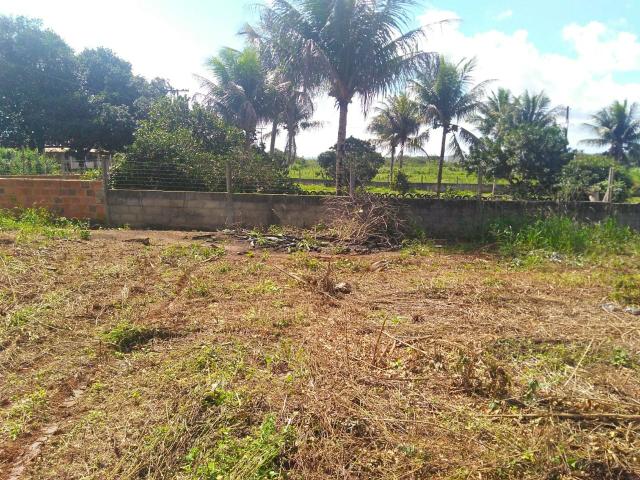 Terreno em Conceição do Jacuípe .Telefone * ou * - Foto 4