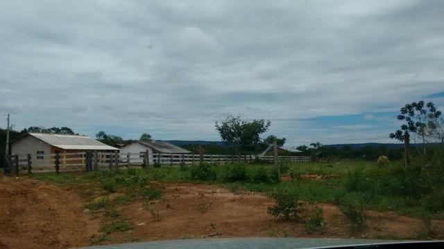 Vendo Fazenda com 1.523 Hectares na região do Manso - Foto 9
