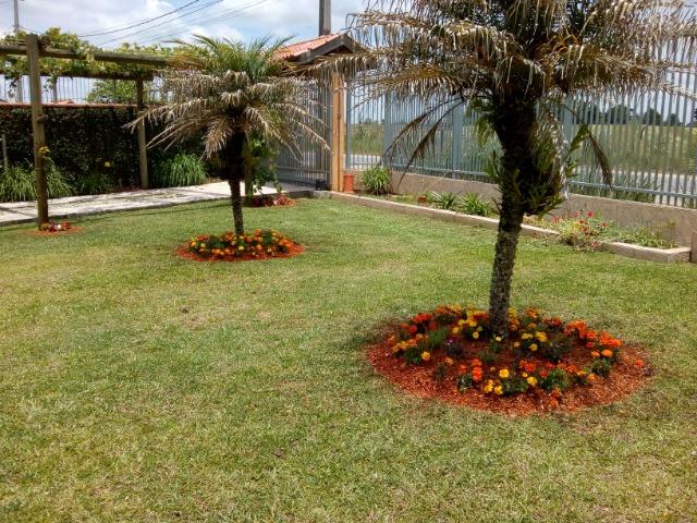 Casa - Costeira / São Jose dos Pinhais - Foto 6