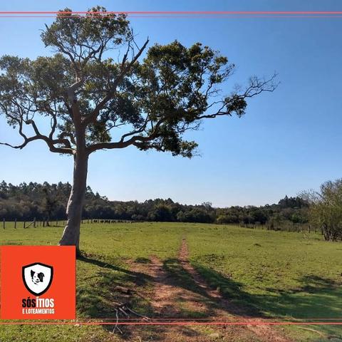 Procurando sítio, nos temos a melhor opção! - Foto 5