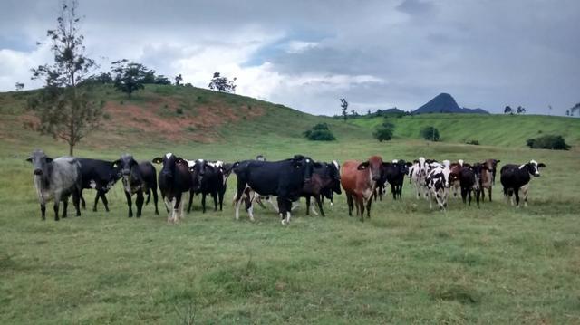 Venda-se ou troco está propriedade de 8.7 alqueires Município cachoeiro Itapemirim/ES - Foto 5