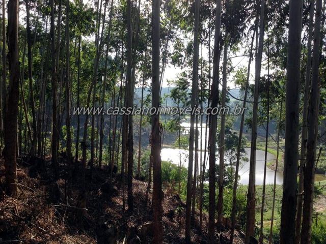 Sitio 43 alqueires á venda em Biritiba Mirim! - Foto 14