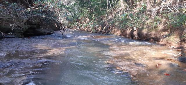 São 2 hectares com nascente nos fundos em chapada dos Guimarães