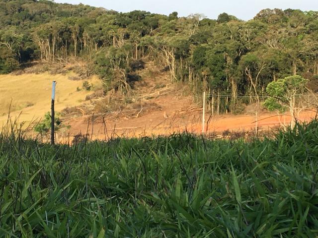 GE compre seu terreno plano para final do ano por apenas: R$10.000 de entrada 1000m2. - Foto 8