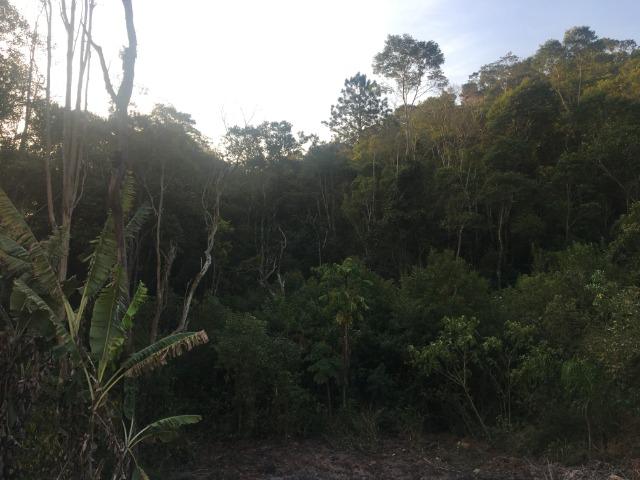 GE compre seu terreno plano para começo do ano por apenas: R$1.000 de entrada 500m2. - Foto 7