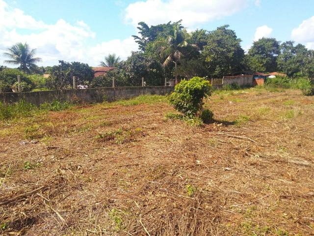 Terreno em Conceição do Jacuípe .Telefone * ou * - Foto 8