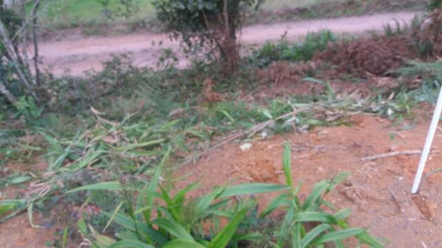 Terreno parcelado alto gasparinho - leia o anúncio - Foto 7