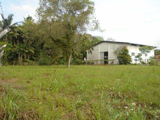 Terreno para alugar em Pirabeiraba, Joinville cod:00444.010