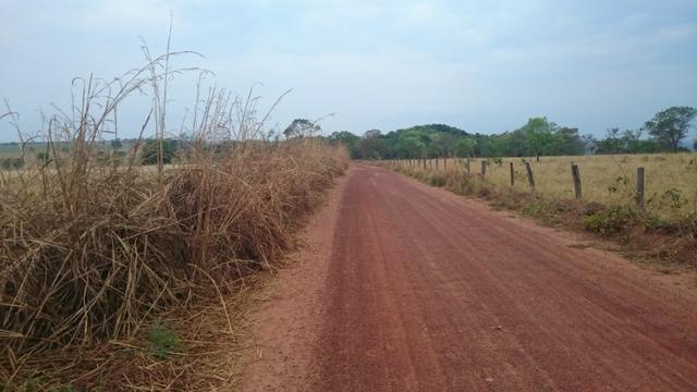 Fazenda para lavoura de 44 alqueires a venda na região de Caldas Novas GO - Foto 14