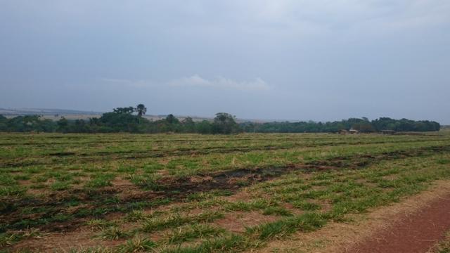 Fazenda para lavoura de 44 alqueires a venda na região de Caldas Novas GO - Foto 8