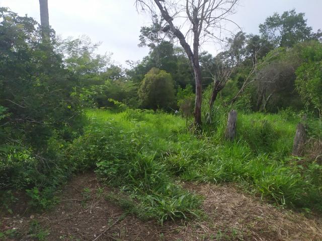 Vendo terreno a 4km da Água Quente - Foto 2