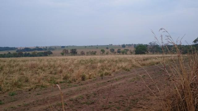 Fazenda para lavoura de 44 alqueires a venda na região de Caldas Novas GO - Foto 13