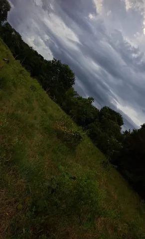 VÊNDO CHÁCARA  - Foto 4