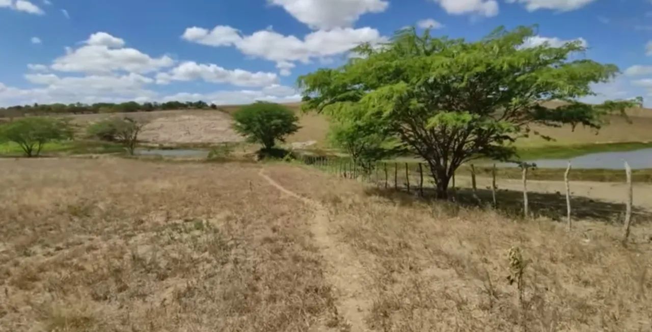 Vendo Sítio de porteira fechada c/Casa, Pomar, Nascente e Área Verde. - Foto 4