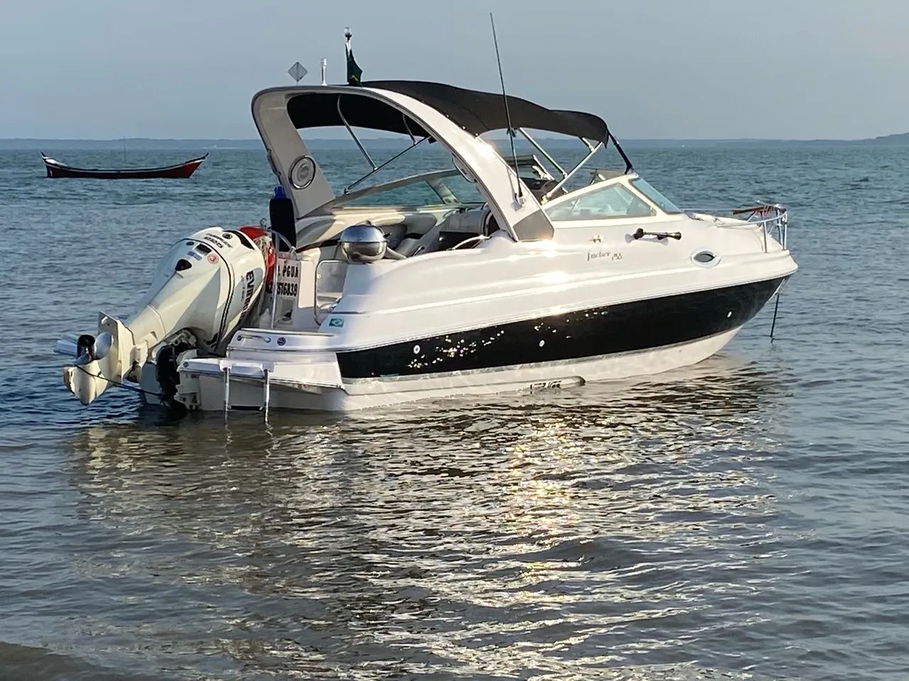 Focker 255  2011 - Foto 14