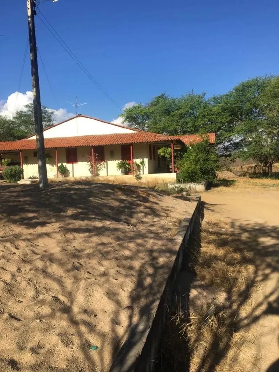 Fazenda 300 hec, BR 232 Passando Dentro, São Caetano, Vendo Desmembrada, Valor p/hec - Foto 6