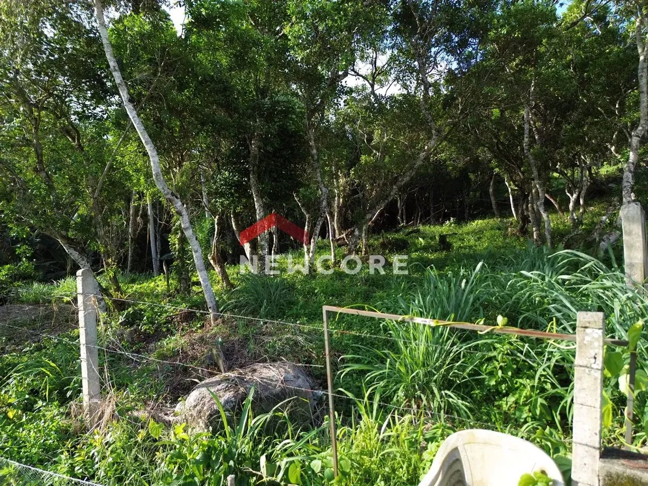 Lote em Rua Gécio de Souza e Silva - Sambaqui - Florianópolis/SC - Foto 3