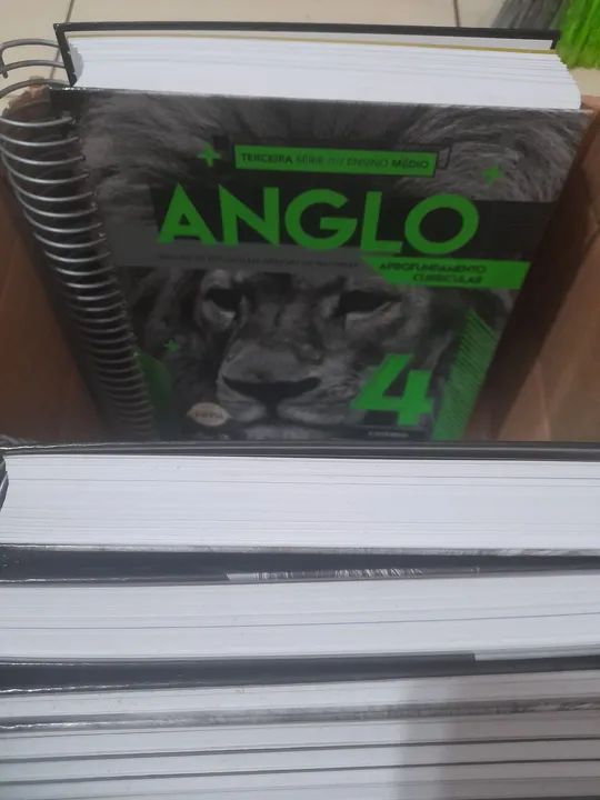 Apostila 3° Ensino Medio 4 Bimestre - Escola de Negócios de Direitos - Foto 3