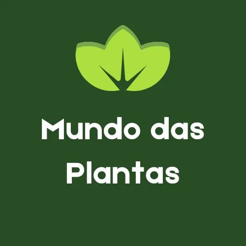 Serviços Prestados Mundo das Plantas