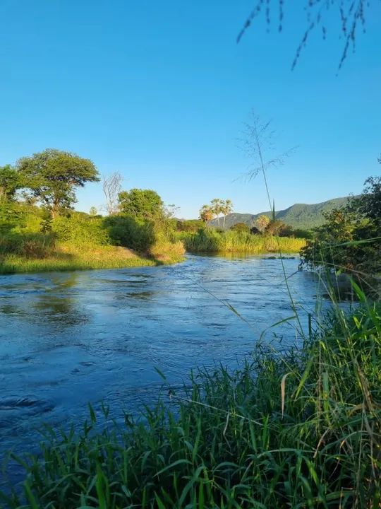 Sítio na zona rural de Cajazeiras - PB - Foto 3