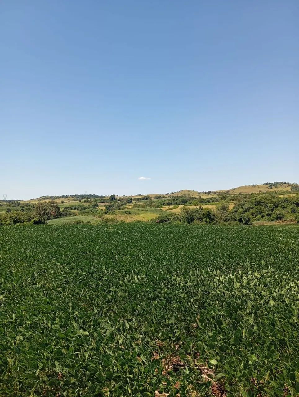 Sítio pega 70% imóvel dando renda  - Foto 2