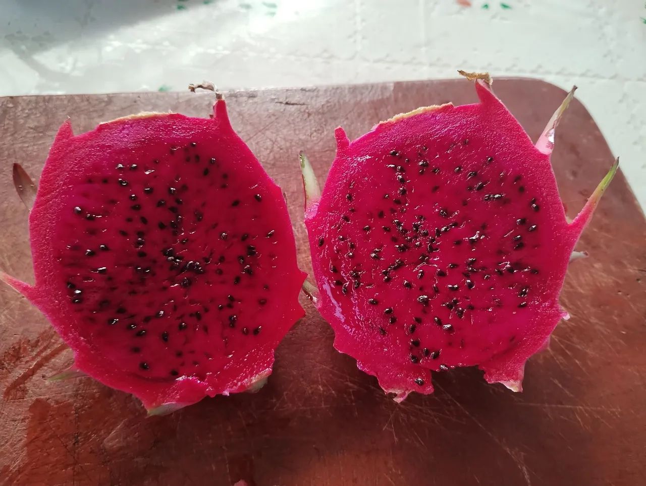 Mudas de Pitayas - Foto 4
