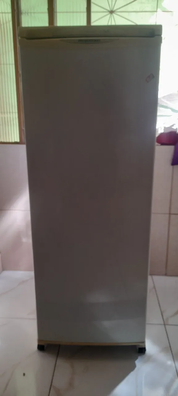 Freezer vertical Prosdocimo.