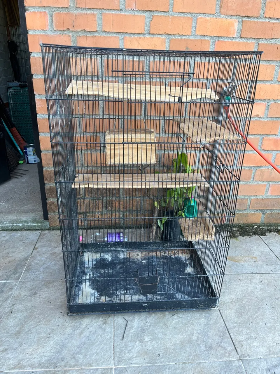 Troco ou venda gaiola chinchila 