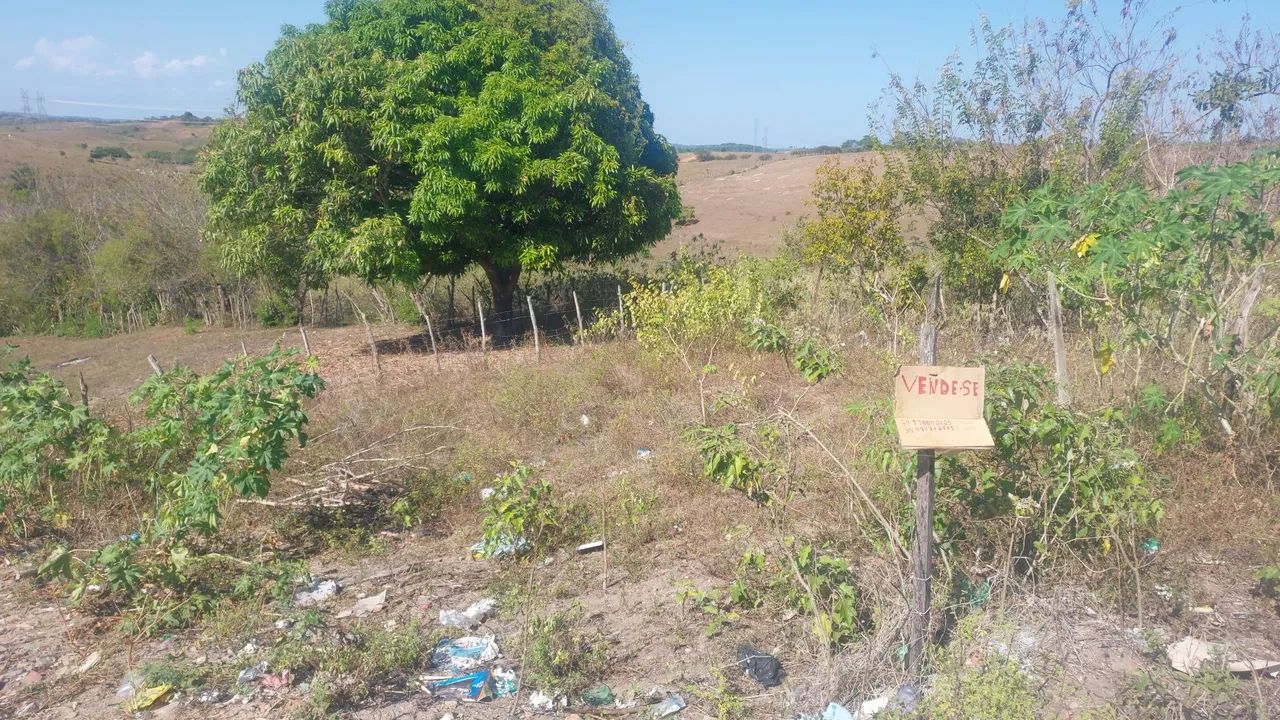 Foto - Santo Amaro das Brotas - 