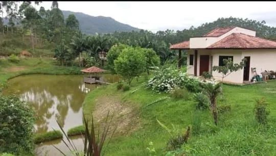 Vendo sítio em Tijuca