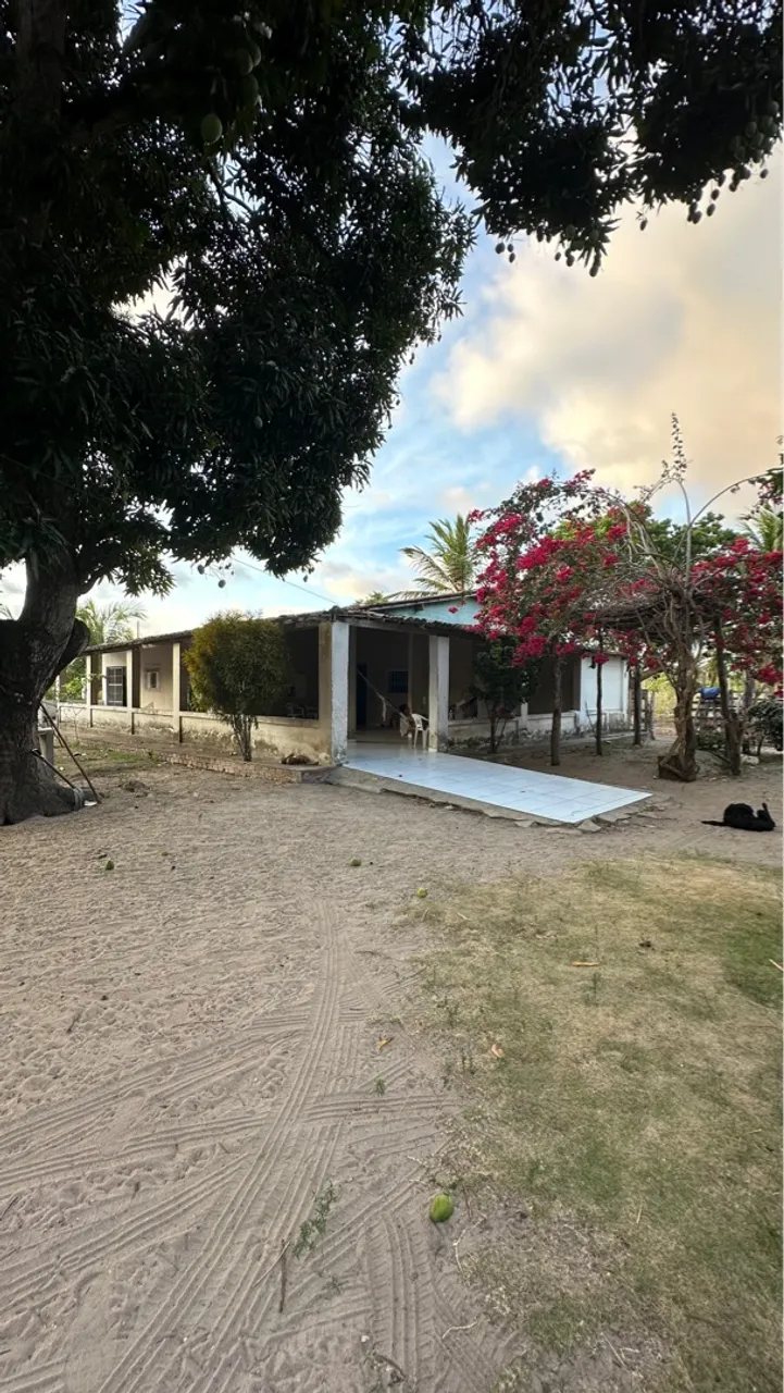 Sítio com casa e pomar em área verde. A 5km do centro de Ceará mirim.