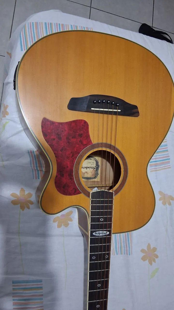 Vendo violão  500 reais sem detalhes 