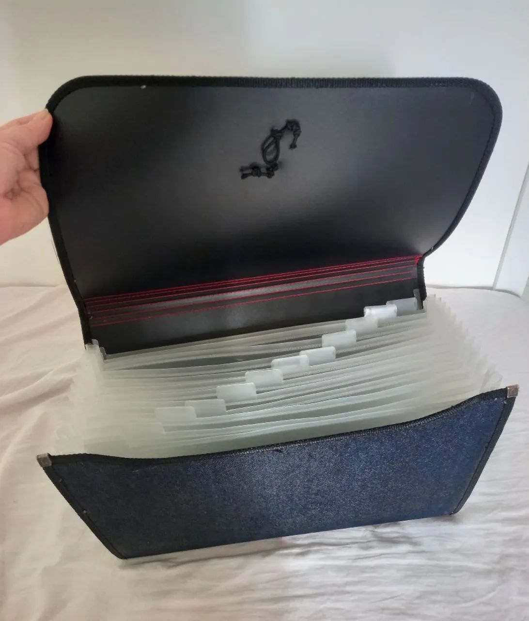 PASTA ARQUIVO SANFONADA - Foto 3