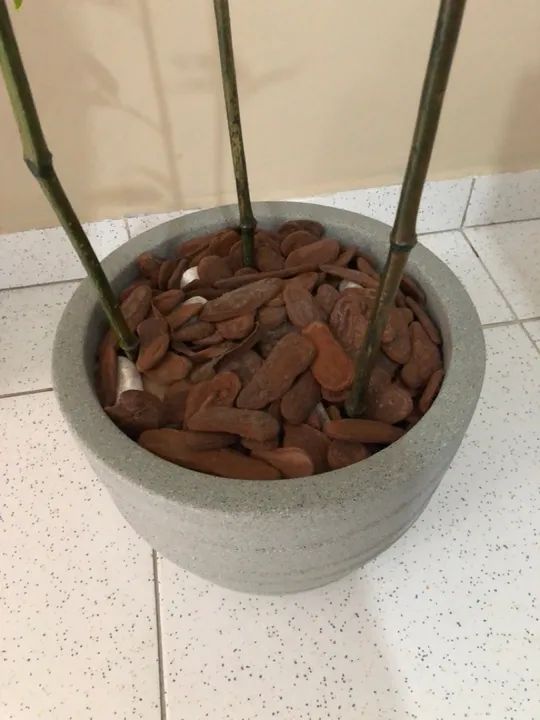 Planta Artificial (Bambuzal) - Foto 3