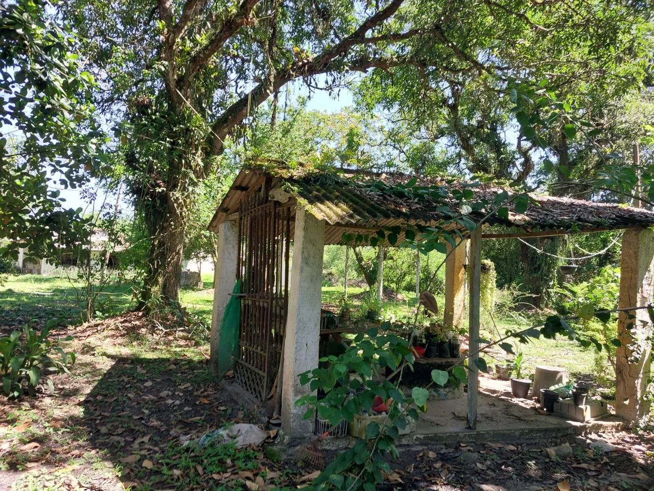 Vendo sítio no vale das pedrinhas Magé  - Foto 4