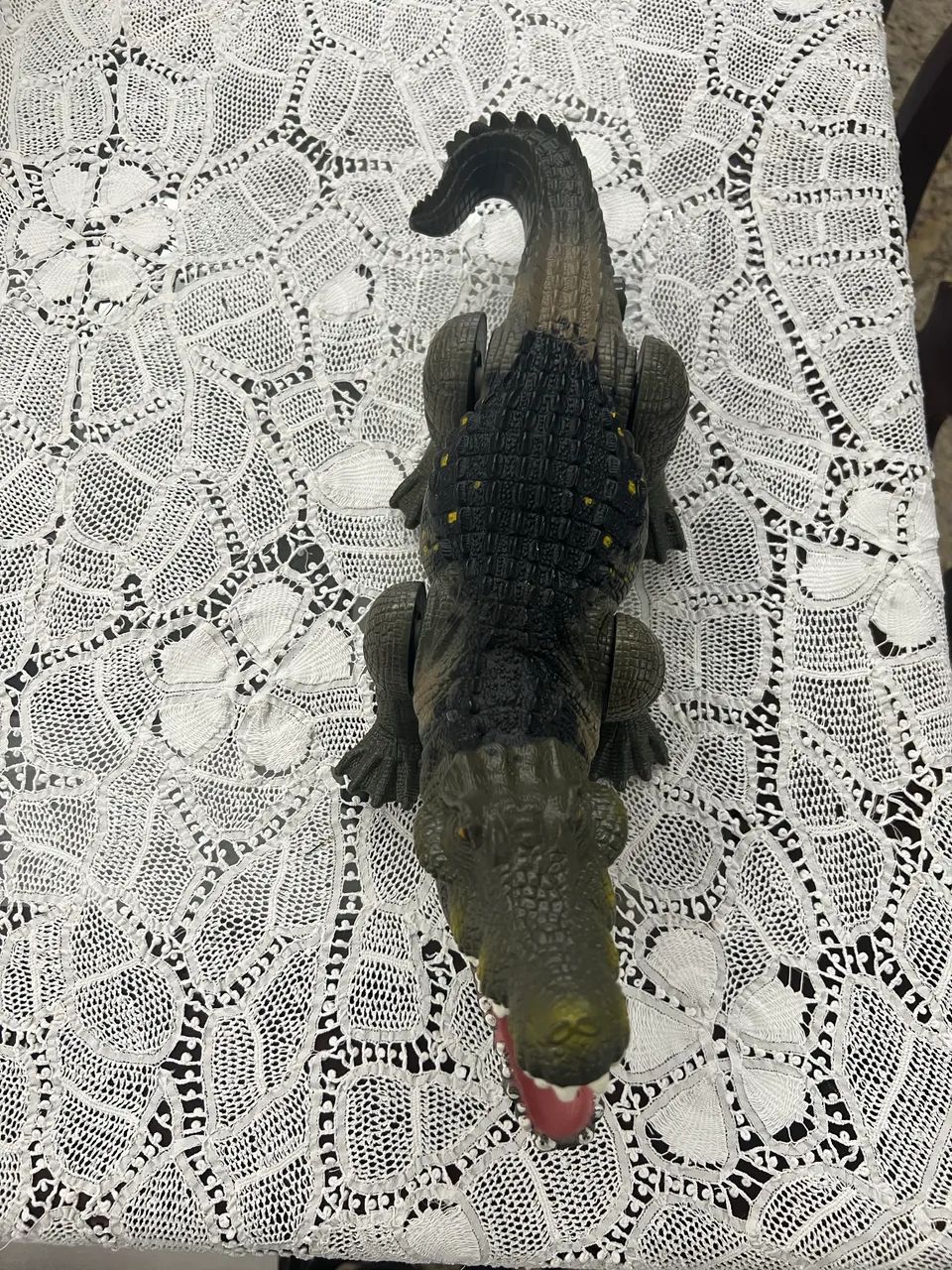 Crocodilo gigante  - Foto 2