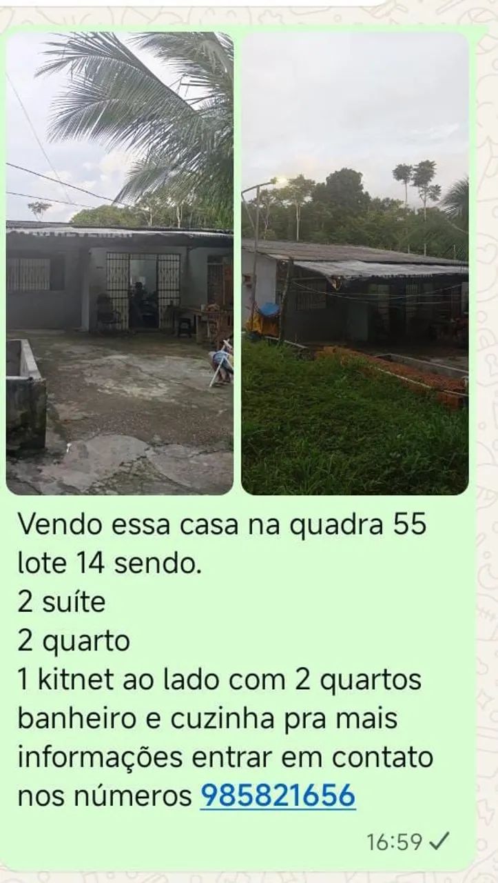 Foto - Manaus - Coroado