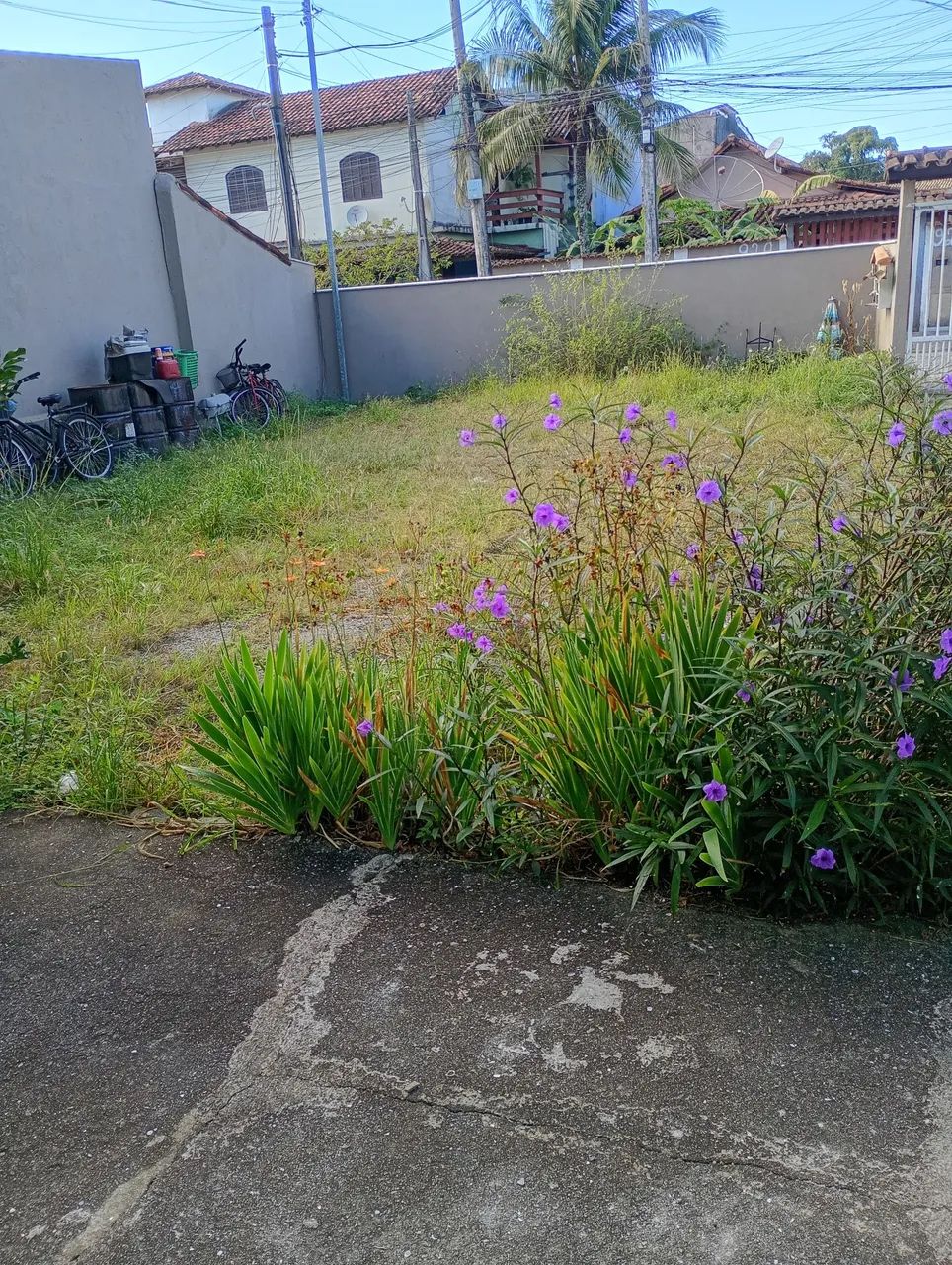 Limpeza de terrenos e quintais e corte de árvore e faço serca   - Foto 2