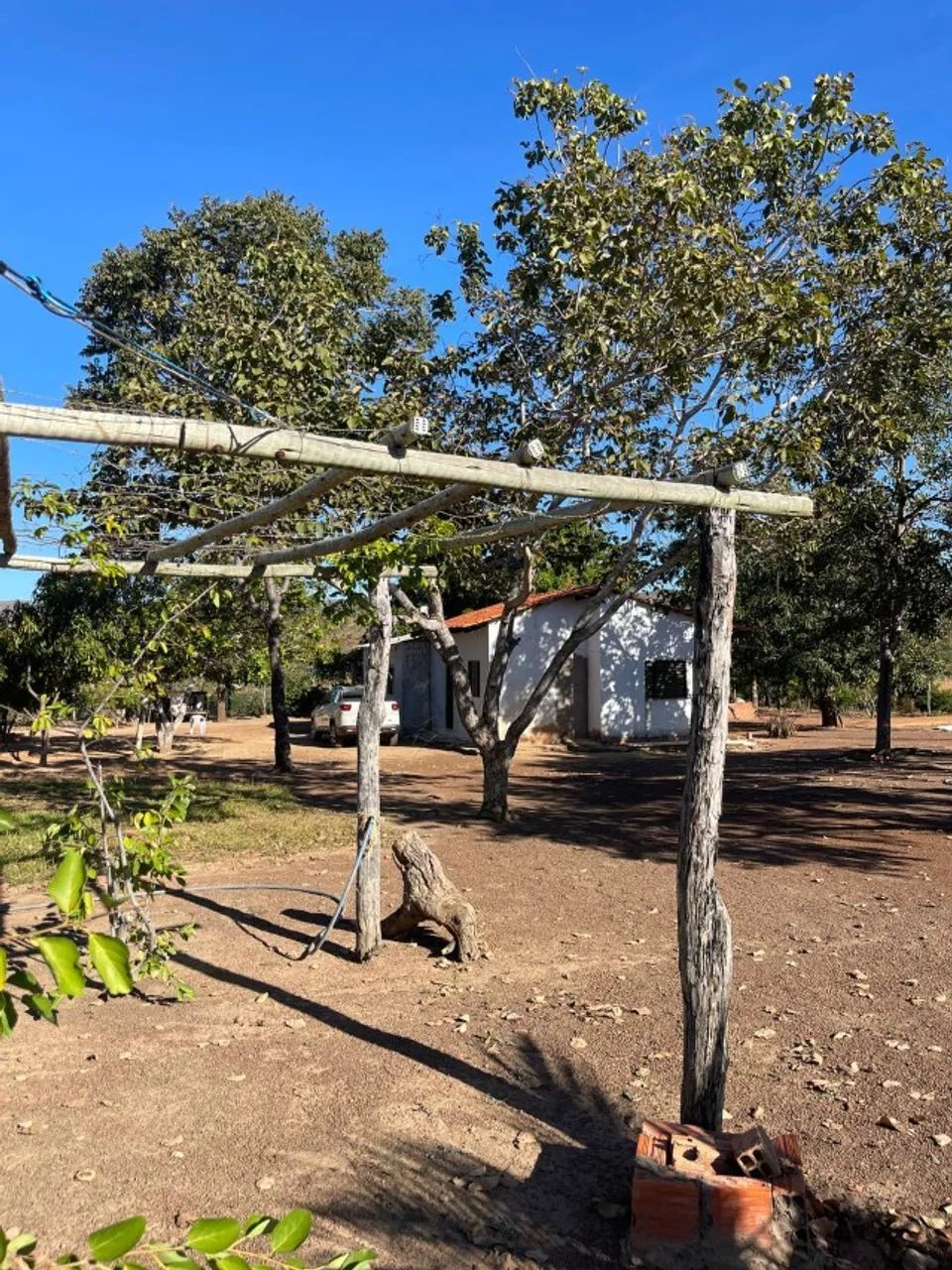 Sítio 30 Hectares Formado - Casa Ampla, Curral, Tanques de Peixe e Ótimo Acesso - Foto 15