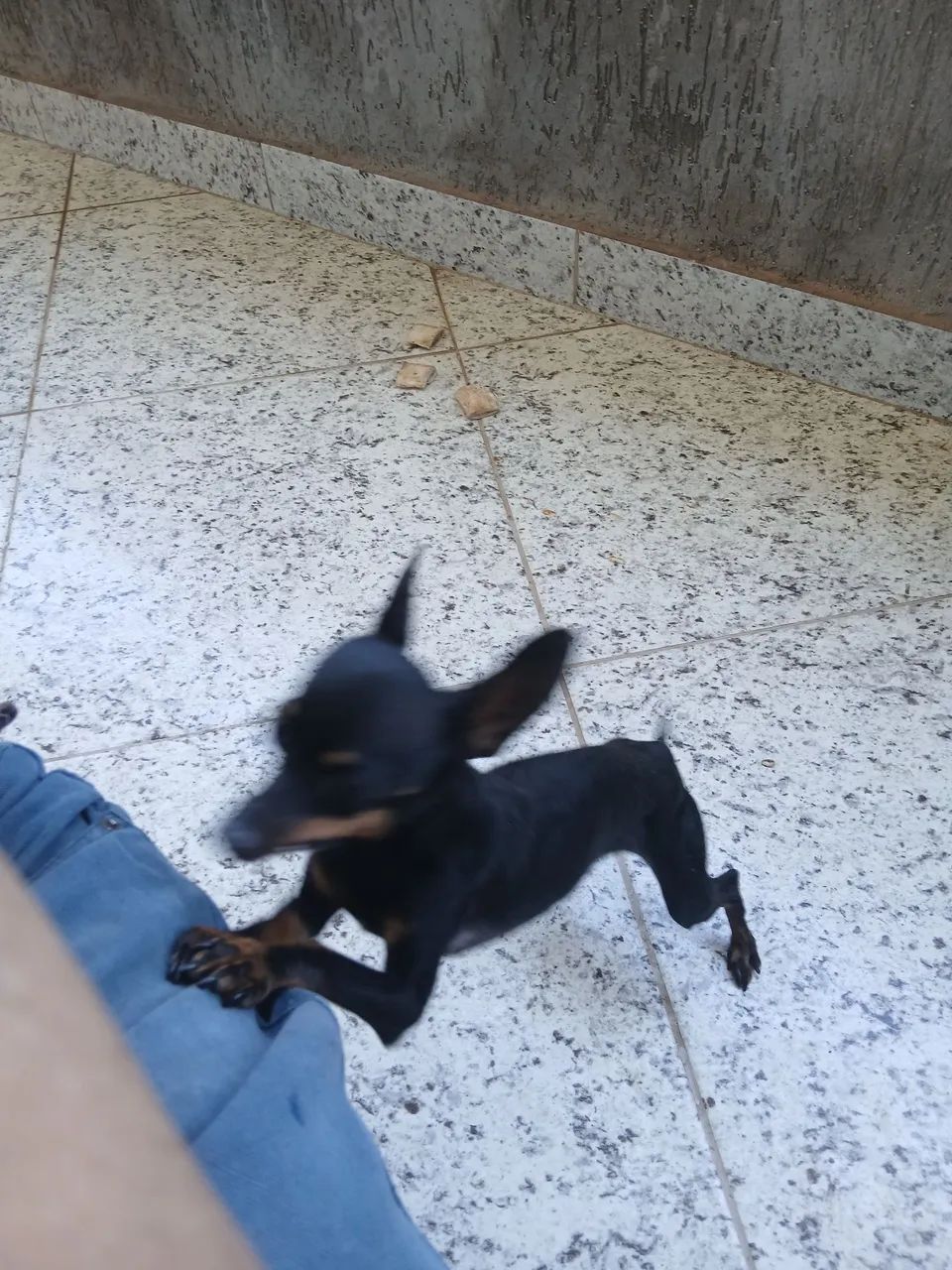 Vendo  - Foto 3